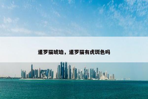 暹罗猫琥珀，暹罗猫有虎斑色吗