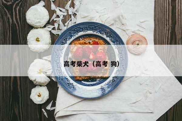 高考柴犬（高考 狗）