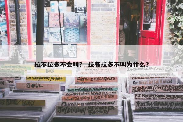 拉不拉多不会叫？ 拉布拉多不叫为什么？