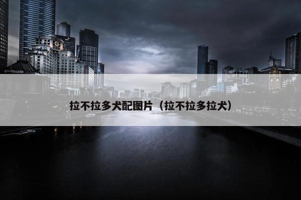 拉不拉多犬配图片（拉不拉多拉犬）