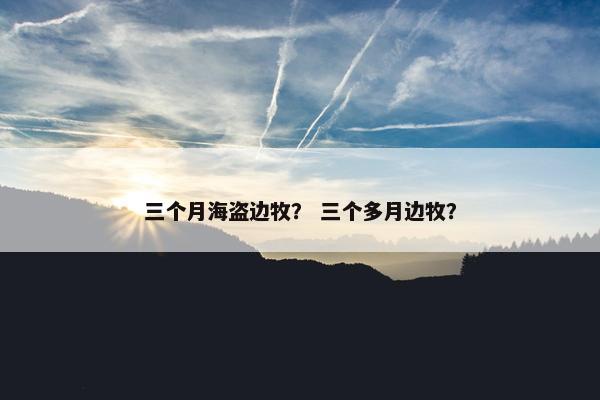 三个月海盗边牧？ 三个多月边牧？