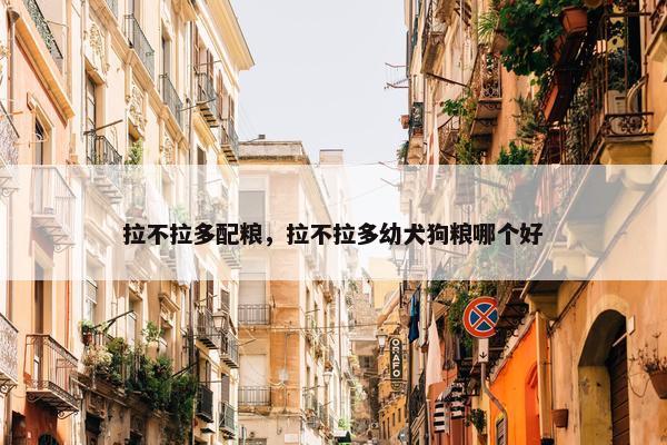 拉不拉多配粮，拉不拉多幼犬狗粮哪个好
