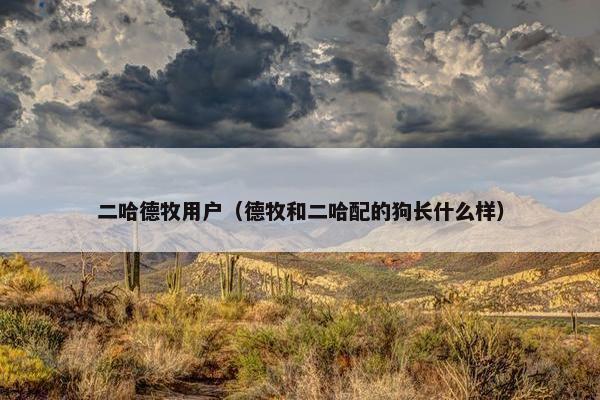 二哈德牧用户（德牧和二哈配的狗长什么样）