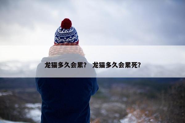 龙猫多久会累？ 龙猫多久会累死？