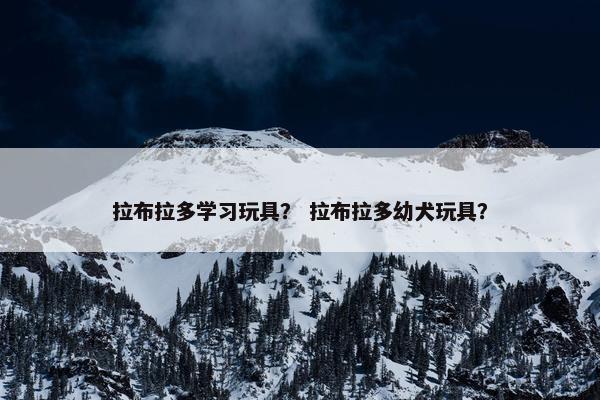 拉布拉多学习玩具？ 拉布拉多幼犬玩具？