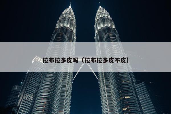 拉布拉多皮吗（拉布拉多皮不皮）