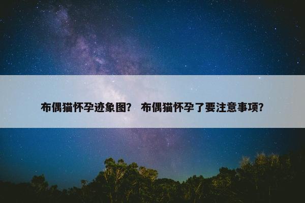 布偶猫怀孕迹象图？ 布偶猫怀孕了要注意事项？
