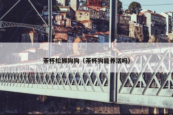 茶杯松狮狗狗（茶杯狗能养活吗）