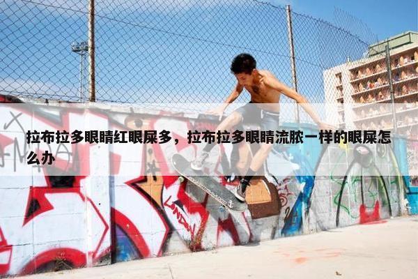 拉布拉多眼睛红眼屎多，拉布拉多眼睛流脓一样的眼屎怎么办