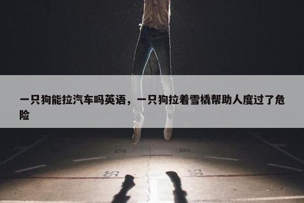 一只狗能拉汽车吗英语，一只狗拉着雪橇帮助人度过了危险