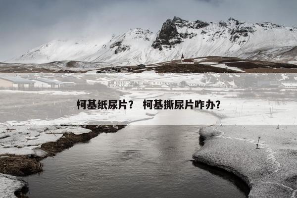 柯基纸尿片？ 柯基撕尿片咋办？