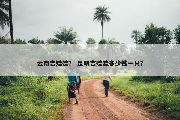云南吉娃娃？ 昆明吉娃娃多少钱一只？