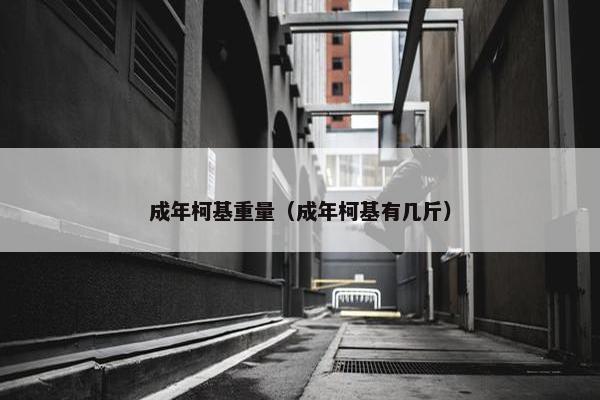 成年柯基重量（成年柯基有几斤）