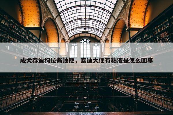 成犬泰迪狗拉酱油便，泰迪大便有粘液是怎么回事