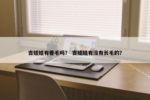 吉娃娃有卷毛吗？ 吉娃娃有没有长毛的？