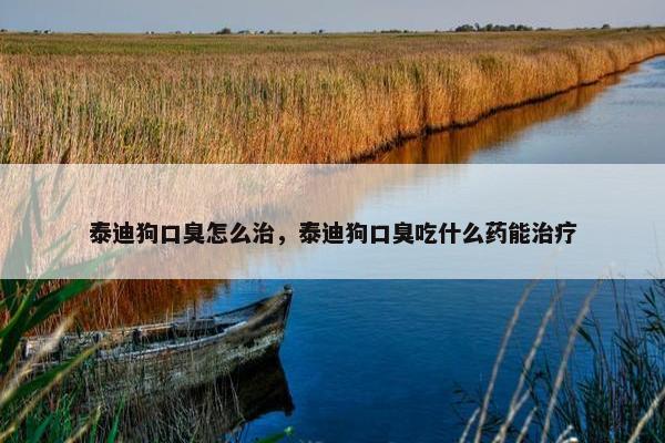 泰迪狗口臭怎么治，泰迪狗口臭吃什么药能治疗