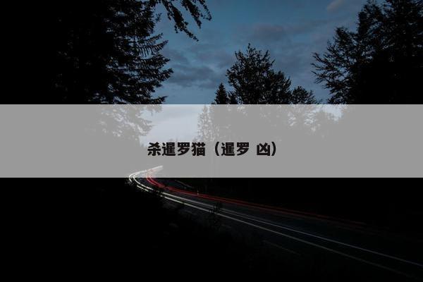 杀暹罗猫（暹罗 凶）