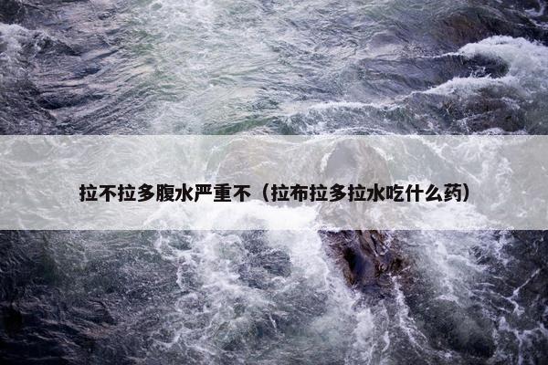 拉不拉多腹水严重不（拉布拉多拉水吃什么药）
