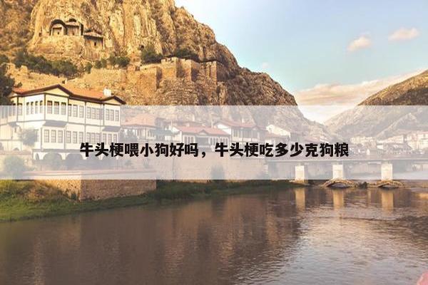 牛头梗喂小狗好吗，牛头梗吃多少克狗粮