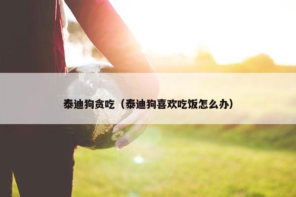 泰迪狗贪吃（泰迪狗喜欢吃饭怎么办）
