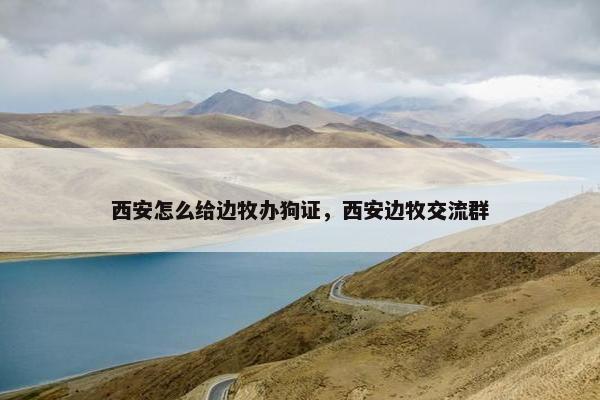 西安怎么给边牧办狗证，西安边牧交流群