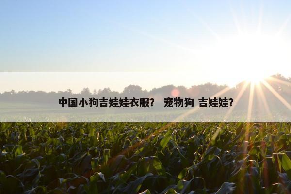 中国小狗吉娃娃衣服？ 宠物狗 吉娃娃？