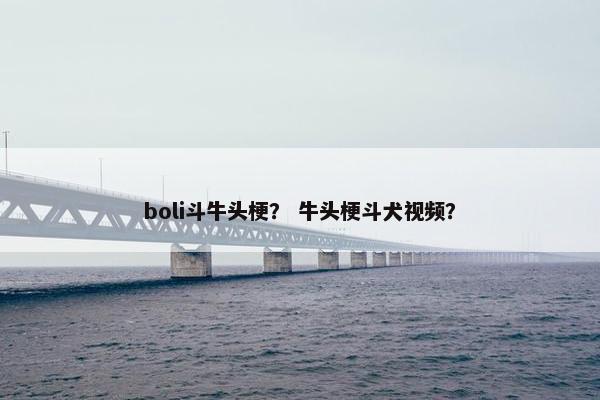 boli斗牛头梗？ 牛头梗斗犬视频？