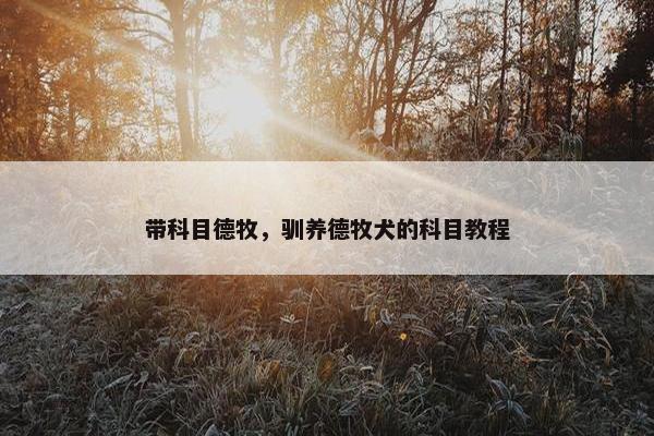 带科目德牧，驯养德牧犬的科目教程