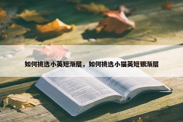 如何挑选小英短渐层，如何挑选小猫英短银渐层