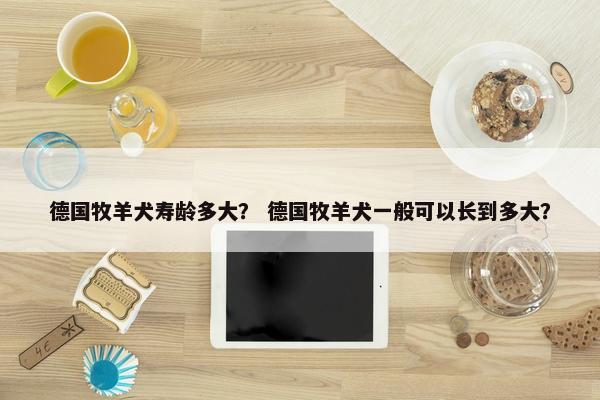 德国牧羊犬寿龄多大？ 德国牧羊犬一般可以长到多大？