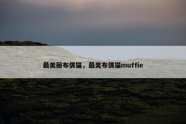 最美丽布偶猫，最美布偶猫muffie