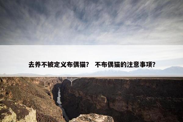 去养不被定义布偶猫？ 不布偶猫的注意事项？