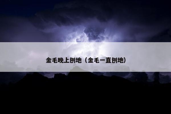 金毛晚上刨地（金毛一直刨地）