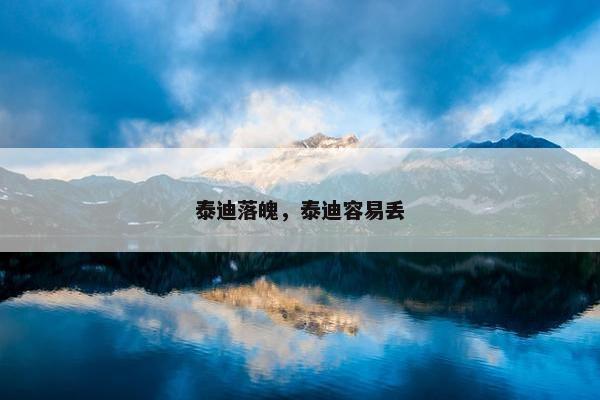 泰迪落魄，泰迪容易丢