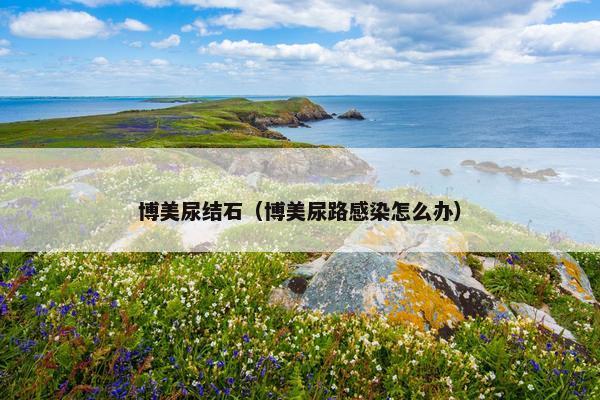 博美尿结石（博美尿路感染怎么办）
