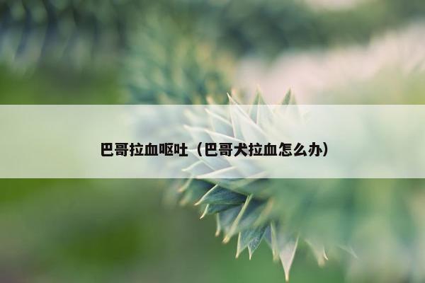 巴哥拉血呕吐（巴哥犬拉血怎么办）