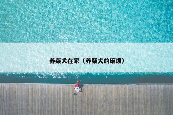 养柴犬在家（养柴犬的麻烦）