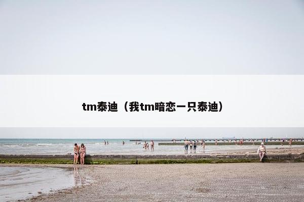 tm泰迪（我tm暗恋一只泰迪）