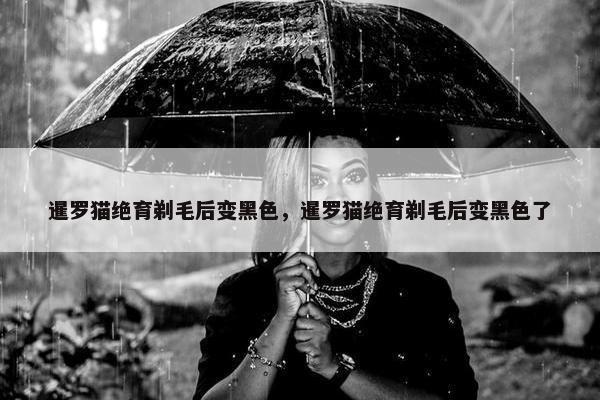 暹罗猫绝育剃毛后变黑色，暹罗猫绝育剃毛后变黑色了