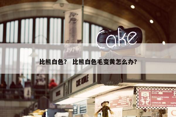 比熊白色？ 比熊白色毛变黄怎么办？