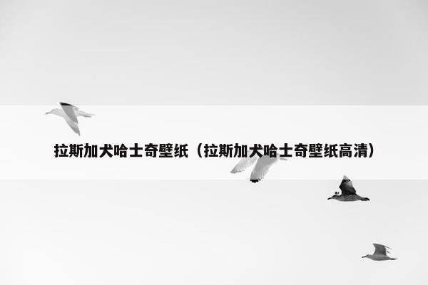 拉斯加犬哈士奇壁纸（拉斯加犬哈士奇壁纸高清）