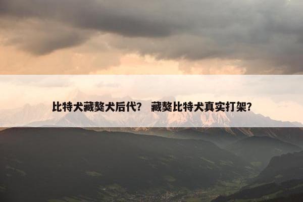 比特犬藏獒犬后代？ 藏獒比特犬真实打架？