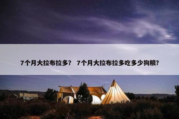 7个月大拉布拉多？ 7个月大拉布拉多吃多少狗粮？