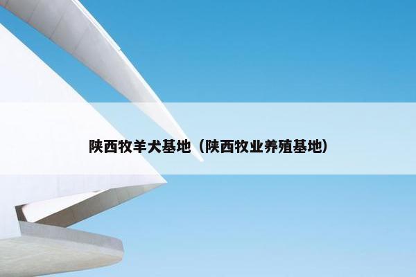 陕西牧羊犬基地（陕西牧业养殖基地）