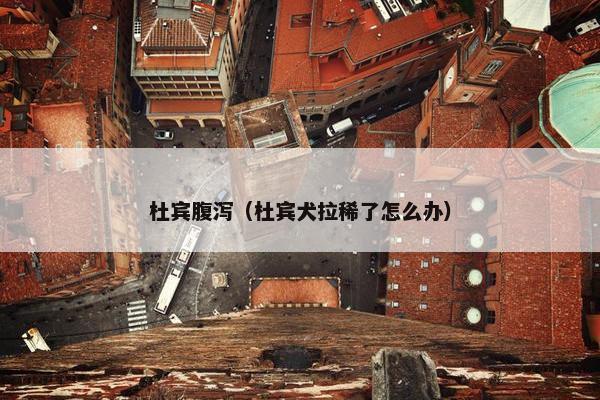杜宾腹泻（杜宾犬拉稀了怎么办）