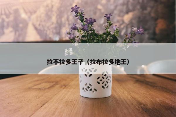拉不拉多王子（拉布拉多地王）
