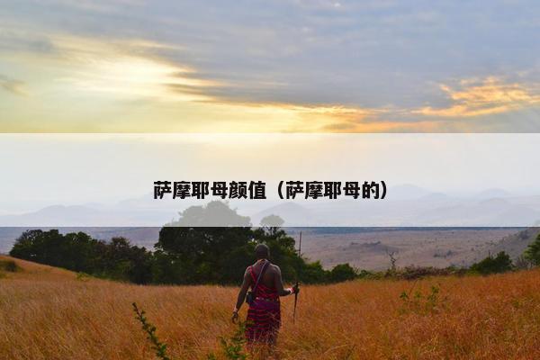 萨摩耶母颜值（萨摩耶母的）