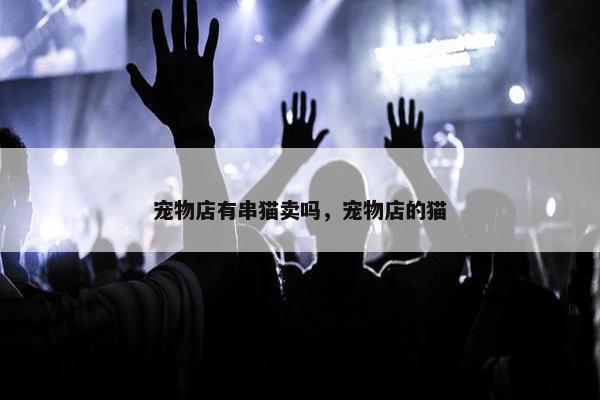 宠物店有串猫卖吗，宠物店的猫