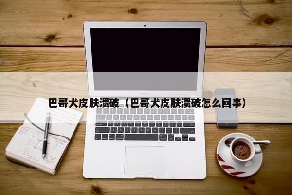巴哥犬皮肤溃破（巴哥犬皮肤溃破怎么回事）