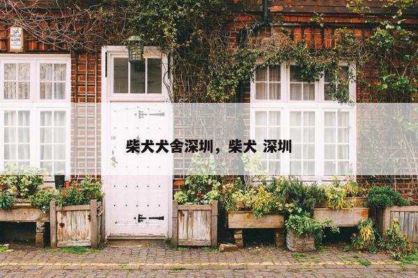 柴犬犬舍深圳，柴犬 深圳